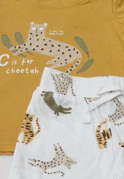 T-Shirt mit kurzer Hose Gr. 74 von Primark (1890)